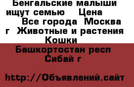 Бенгальские малыши ищут семью) › Цена ­ 5 500 - Все города, Москва г. Животные и растения » Кошки   . Башкортостан респ.,Сибай г.